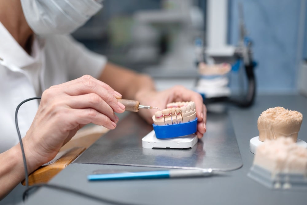 dentist checking a teeth model